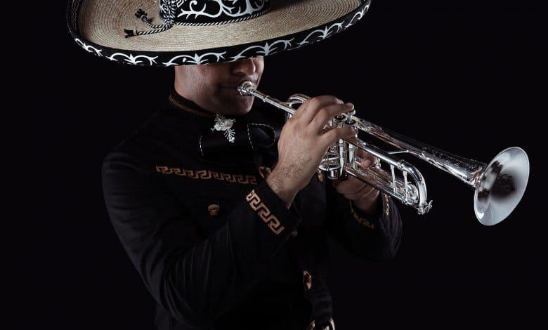 Mariachi en Ciudad de México - Mariachi de mi Tierra